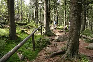 auf dem Weg zur Achtermannskuppe