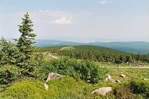 Blick vom Brocken Richtung Bad Harzburg