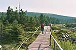 Goetheweg zum Brocken