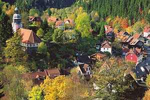 Blick auf Wildemann